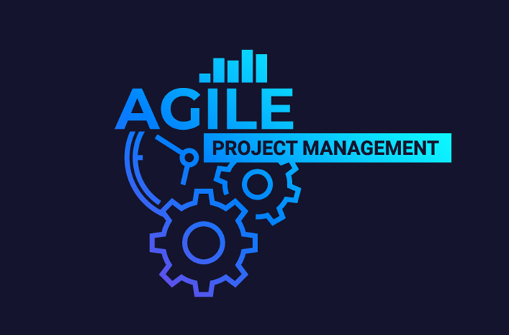 Agile Project Management Approaches